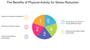 The Impact Of Physical Activity On Stress Management